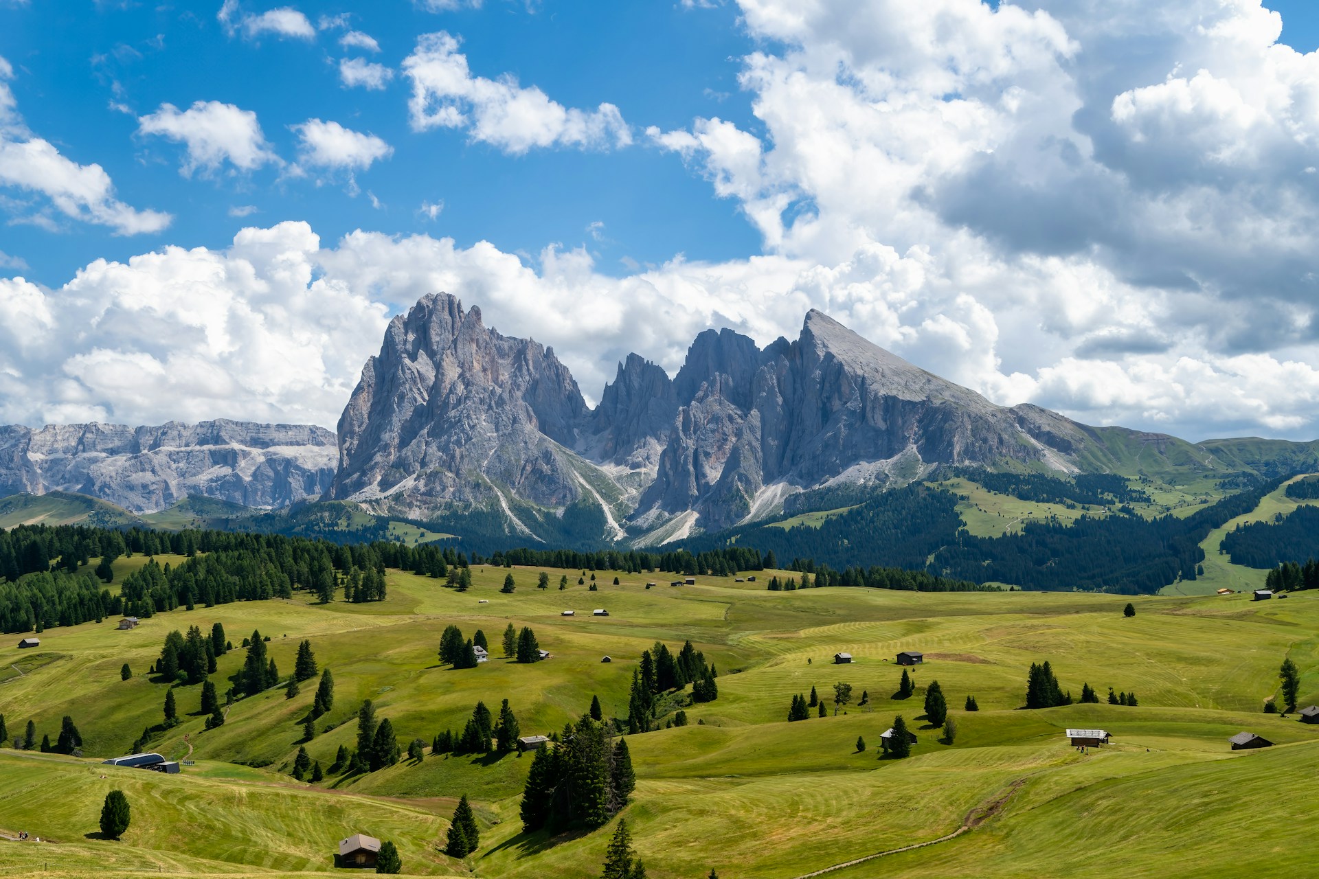 Read more about the article Top Travel Accessories to Enhance Your Family Vacation Experience